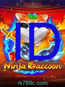 NinjaRaccoon
